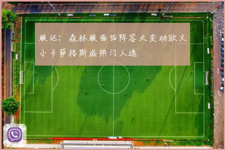 狼记：森林狼面临阵容大变动欧文小卡萨格斯成热门人选