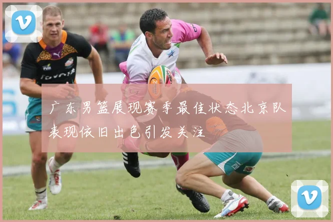 广东男篮展现赛季最佳状态北京队表现依旧出色引发关注